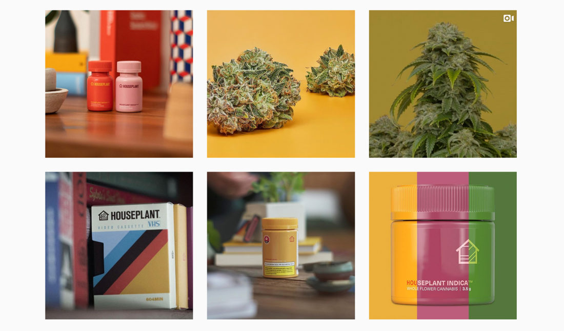 Houseplant, Empresa de Marihuana de Seth Rogen, Abandona a su Socio Corporativo Canopy Growth | El Planteo