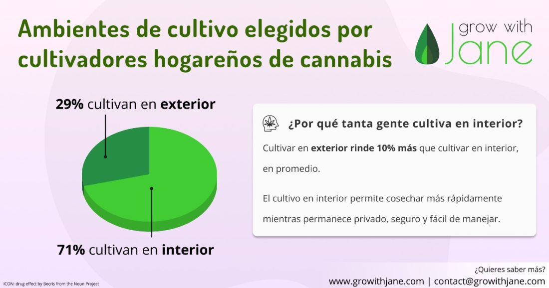 Ambientes Cultivo Cannabis Ambientes Cultivo Cannabis