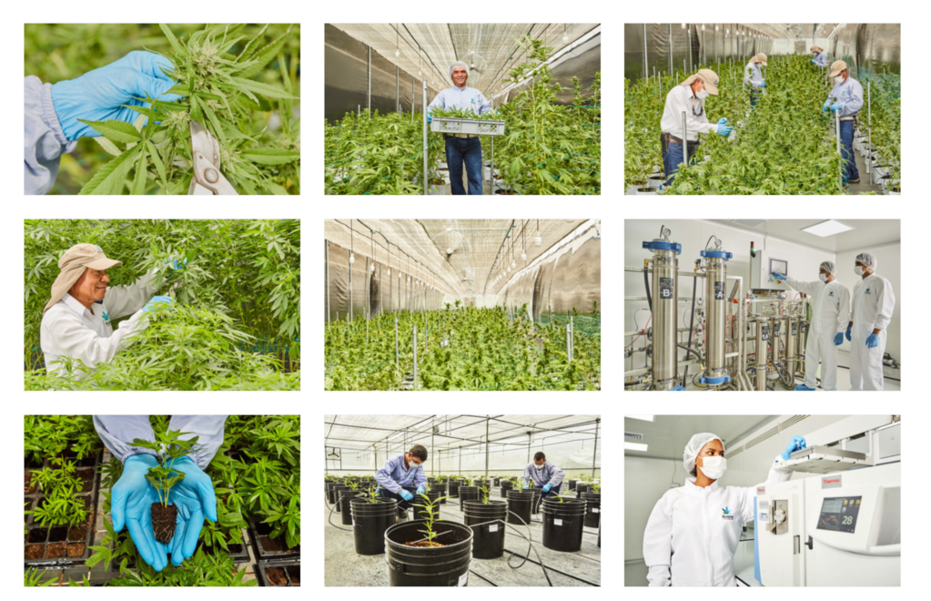Khiron Life Sciences Khiron Life Sciences