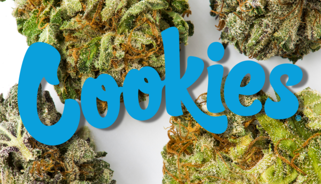 La Marca Cookies, de Berner, Lanza Nueva Variedad de Cannabis con Estrella de la NFL | El Planteo